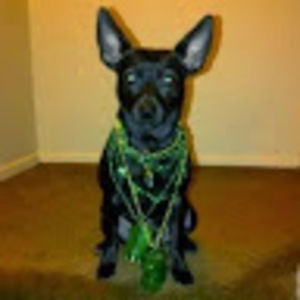 Meet your Posher, Nikki